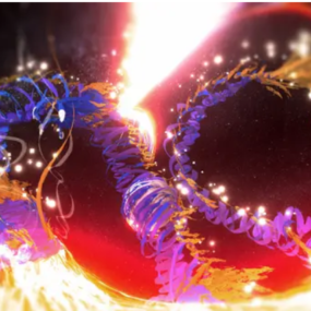 กลับมาอีกครั้ง